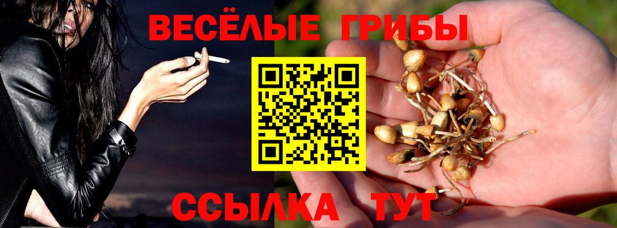 Псилоцибиновые грибы Psilocybine cubensis  Вход с VPN  Шарыпово 